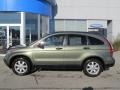 2008 Green Tea Metallic Honda CR-V EX 4WD  photo #3