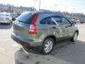 2008 Green Tea Metallic Honda CR-V EX 4WD  photo #8