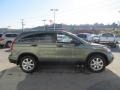 2008 Green Tea Metallic Honda CR-V EX 4WD  photo #9