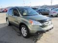 2008 Green Tea Metallic Honda CR-V EX 4WD  photo #10