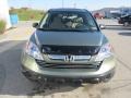 2008 Green Tea Metallic Honda CR-V EX 4WD  photo #11