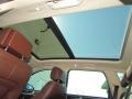 Saddle Brown Sunroof Photo for 2011 Volkswagen Touareg #55970952