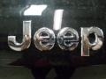 2012 Jeep Liberty Jet 4x4 Badge and Logo Photo