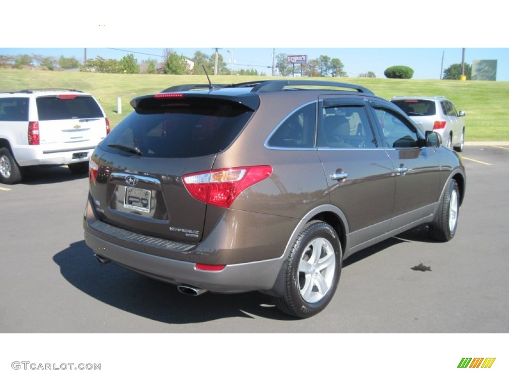 Sahara Bronze 2010 Hyundai Veracruz Limited Exterior Photo #55976581