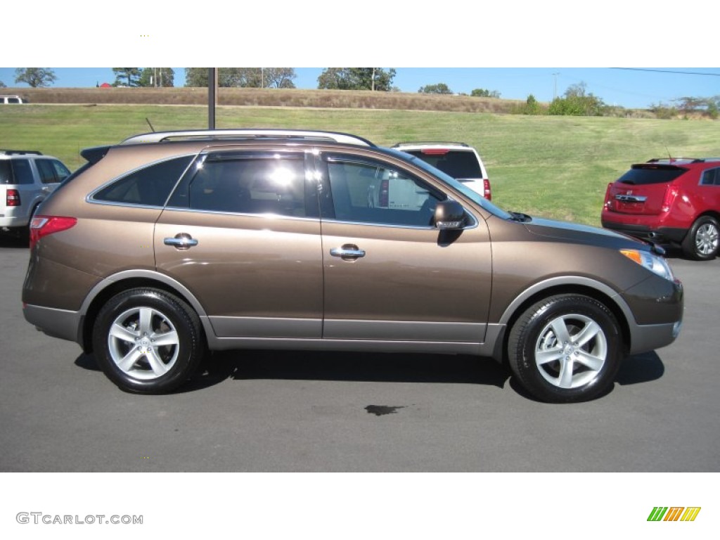 Sahara Bronze 2010 Hyundai Veracruz Limited Exterior Photo #55976590