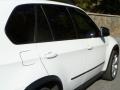 Alpine White - X5 4.8i Photo No. 10