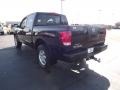 2011 Galaxy Black Nissan Titan Pro-4X Crew Cab 4x4  photo #7