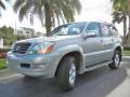 Silver Pine Metallic - GX 470 Photo No. 2