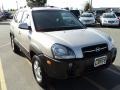 Sahara Silver - Tucson GLS V6 4x4 Photo No. 11