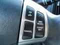 Carbon Gray Mist - Elantra GLS Photo No. 8