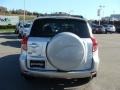 Classic Silver Metallic - RAV4 4WD Photo No. 5