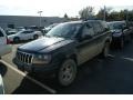 2001 Patriot Blue Pearl Jeep Grand Cherokee Laredo  photo #4