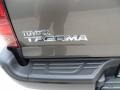 Pyrite Mica - Tacoma Prerunner Double Cab Photo No. 15