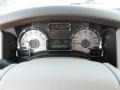 Stone Gauges Photo for 2012 Ford Expedition #56005255
