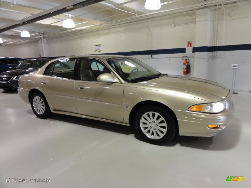 2005 LeSabre Custom - Cashmere Metallic / Light Cashmere photo #6