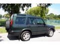 2003 Epsom Green Land Rover Discovery SE  photo #9