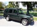 2003 Epsom Green Land Rover Discovery SE  photo #12