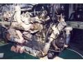 5.3 Liter SOHC 24-Valve V12 1974 Jaguar XKE Series III Roadster Engine