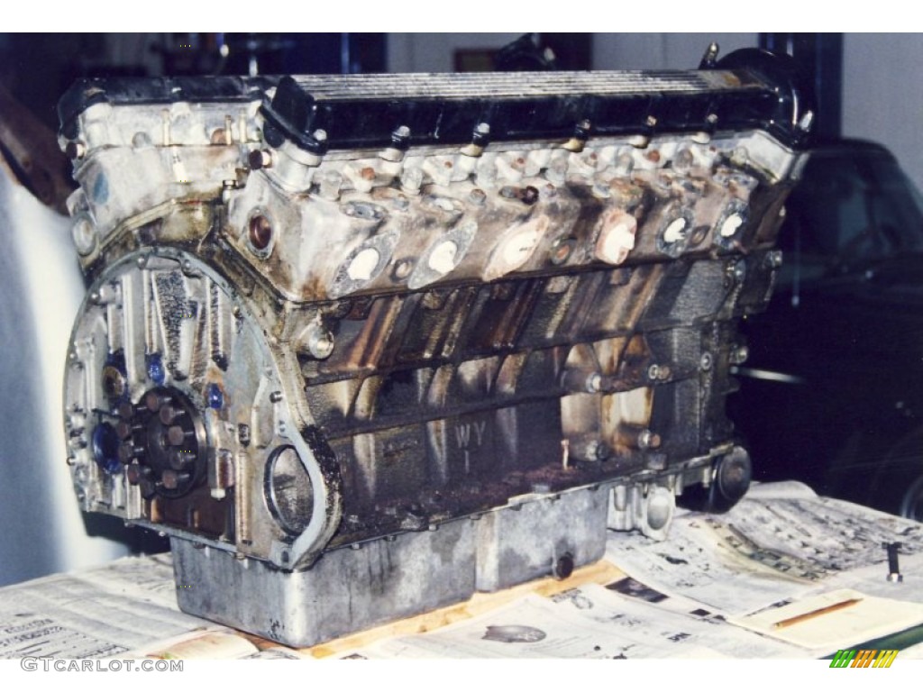 1974 Jaguar XKE Series III Roadster 5.3 Liter SOHC 24-Valve V12 Engine Photo #56020286