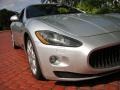 Grigio Touring Metallic (Silver) - GranTurismo  Photo No. 9
