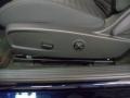 Blackberry Pearl - Challenger SXT Photo No. 15