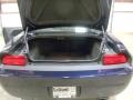 Blackberry Pearl - Challenger SXT Photo No. 22