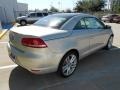 Reflex Silver Metallic - Eos Executive Photo No. 7