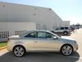 Reflex Silver Metallic - Eos Executive Photo No. 8