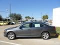 Platinum Gray Metallic - Passat 2.5L SE Photo No. 4