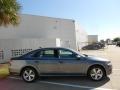 Platinum Gray Metallic - Passat 2.5L SE Photo No. 8