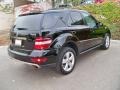 Black - ML 350 4Matic Photo No. 3