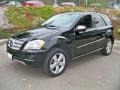 Black - ML 350 4Matic Photo No. 7