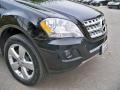 Black - ML 350 4Matic Photo No. 10