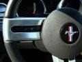 Vapor Silver Metallic - Mustang GT/CS California Special Coupe Photo No. 22
