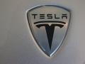 2008 Tesla Roadster Standard Roadster Model Marks and Logos