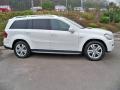 Arctic White 2010 Mercedes-Benz GL 350 BlueTEC 4Matic Exterior