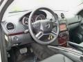 Black Interior Photo for 2010 Mercedes-Benz GL #56042363