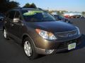 Dark Bronze Metallic - Veracruz Limited AWD Photo No. 27