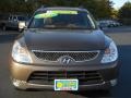 Dark Bronze Metallic - Veracruz Limited AWD Photo No. 28