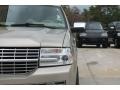 2008 Light French Silk Metallic Lincoln Navigator Luxury  photo #12