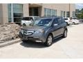 Nimbus Gray Metallic - MDX Technology Photo No. 2