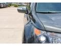 Nimbus Gray Metallic - MDX Technology Photo No. 12