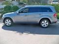 Paladium Silver Metallic - GL 450 4Matic Photo No. 4
