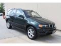 Oxford Green Metallic - X5 3.0i Photo No. 2