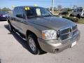 Light Khaki Metallic - Dakota SLT Quad Cab Photo No. 10