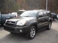 2006 Shadow Mica Toyota 4Runner Limited 4x4  photo #3