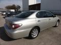 Millennium Silver Metallic - ES 300 Photo No. 8