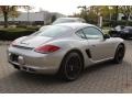 Platinum Silver Metallic - Cayman S Photo No. 5