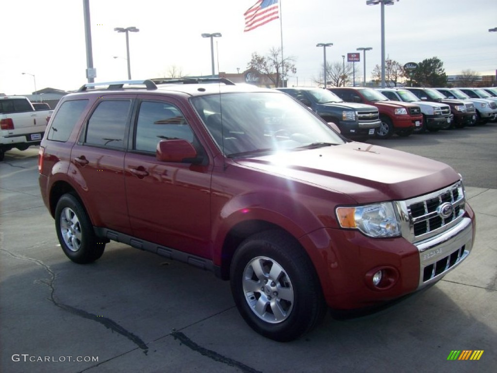2010 Escape Limited V6 4WD - Sangria Red Metallic / Charcoal Black photo #19