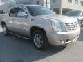 Quicksilver - Escalade EXT AWD Photo No. 8
